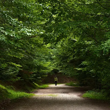 Apartamento Partacua By Bevalle *