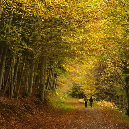 Partacua By Bevalle Apartamento Tramacastilla de Tena