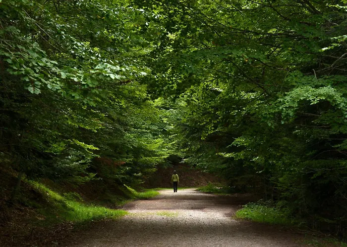 Apartamento Partacua By Bevalle *