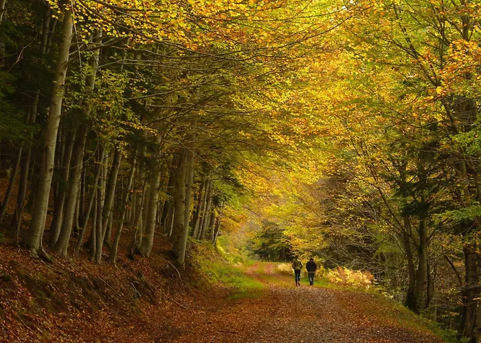 Partacua By Bevalle Apartamento Tramacastilla de Tena